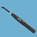 dental Curing lights