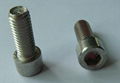 Hex socket set screws