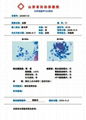 TBS报告系统 3