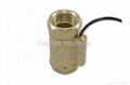 PT 1“ Flow Sensor