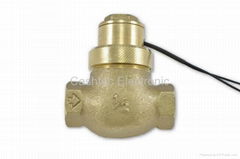 PT 1/2“ Flow Sensor