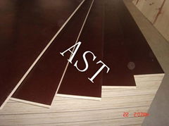 BROWN FILM FACED PLYWOOD