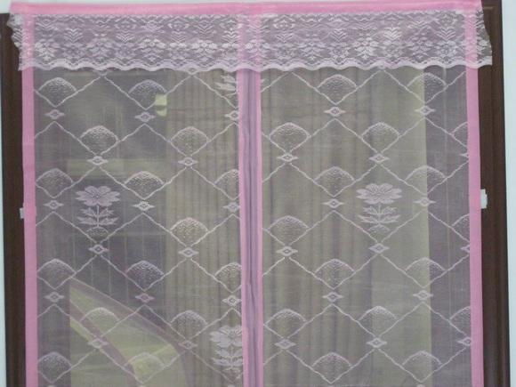 2011 new magnetic mesh curtain 2