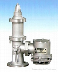 Pressure vacuum relief valve 
