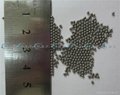 SUS304 stainless steel ball 7.938mm