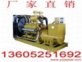 SHANG CHAI GENERATORS