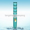 400QJsubmersible pump 3