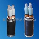 自承式市内通信电缆HYAC 5