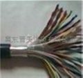 各種軟電纜RVVZ電纜 5