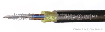 鎧裝單模光纖光纜GYTA53 2