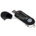 Portable Mini LCD Screen 2GB USB MP3 Player with FM Radio/REC/MIC