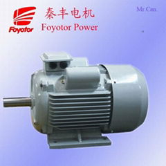 Electrical motor