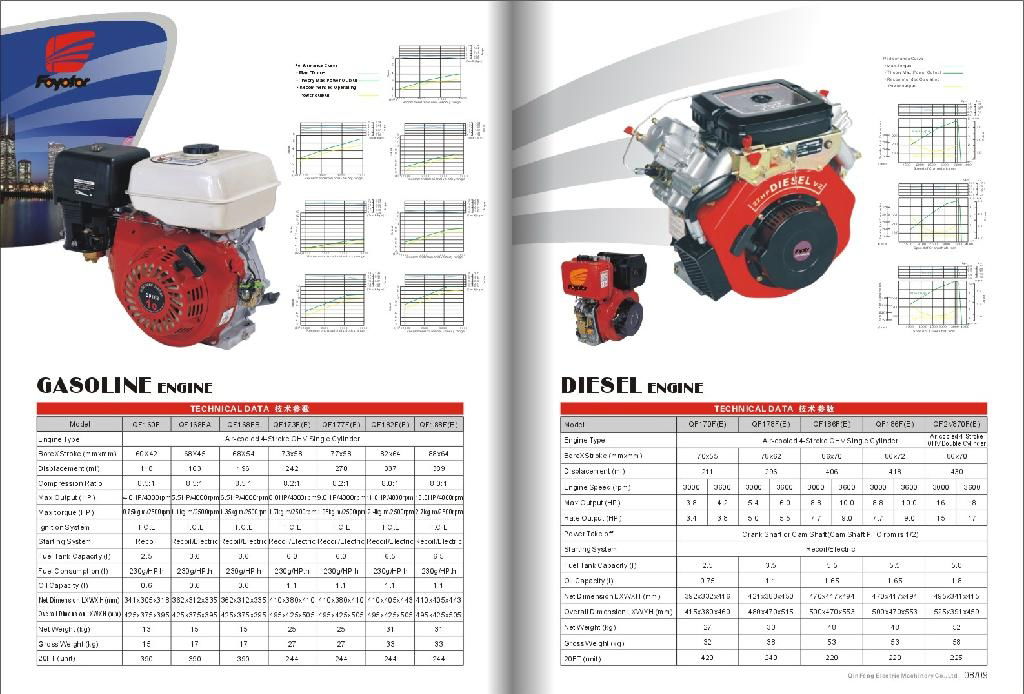 Protable gasoline generator Lower price sale to Indonesia 3