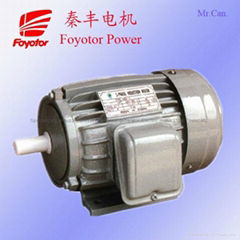 Electric motor 