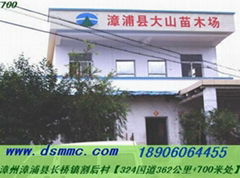 ZHANGPU COUNTY DASHAN SEEDLING LUMBER YARD