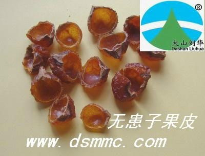 无患子果皮（天然洗洁品　soapberry)