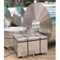 tinplate coil