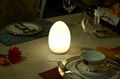 induction rechargeable led table lamp 2