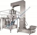 TS6-200-S Snack Food Rotary Filling