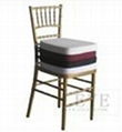 chiavari chair with cushioin 1