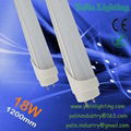 T8 and T5 fluorescent LED tube lamp 1