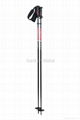 SKI POLE SM118-C3