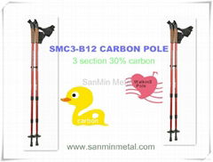 nordic walking pole in carbon 