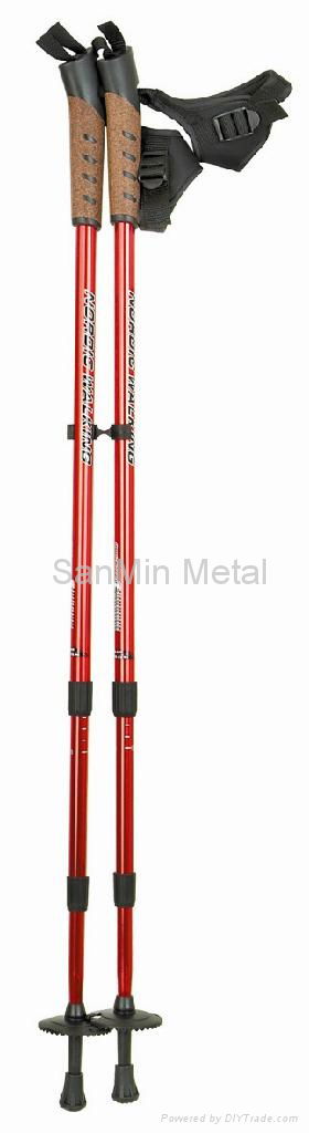 nordic walking pole in carbon  3