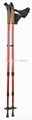 nordic walking pole in carbon 