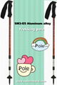 NORDIC WALKING POLE SM3-E5