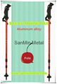 NORDIC WALKING POLE SM3-A3