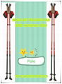 NORDIC WALKING POLE SM216-B17