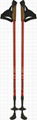 NORDIC WALKING POLE SM218-B6