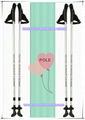 NORDIC WALKING POLE SM216-C5a