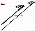 QUICK LUCK CARBON  WALKING POLE 7