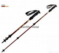 QUICK LUCK CARBON  WALKING POLE