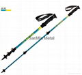 QUICK LUCK CARBON  WALKING POLE 8