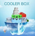 cooler box with thermometer 20