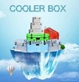 cooler box with thermometer