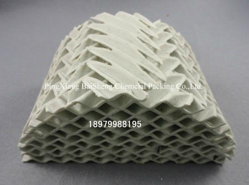 陶瓷規整填料 2