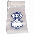 disposable Ice bag 