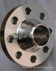 Export high quality Flange mabufacture