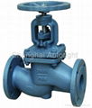 cast iron globe valve 1