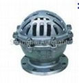 cast steel and other material foot valve