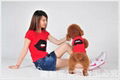 wholesale fashion pet clothes fashion