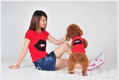 wholesale fashion pet clothes fashion