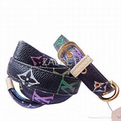 wholesale pet leash pet accessories