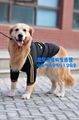 wholesale large dog apparel 4