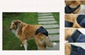 Pet Dog physiological pants  4