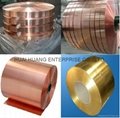 copper  phosphor bronze